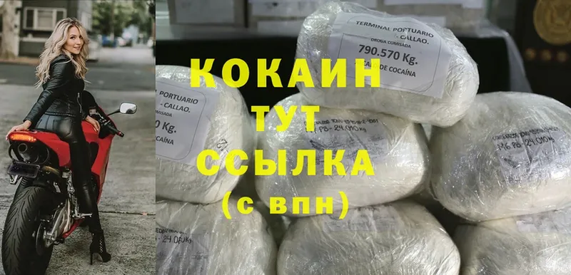 COCAIN FishScale  Великий Устюг 